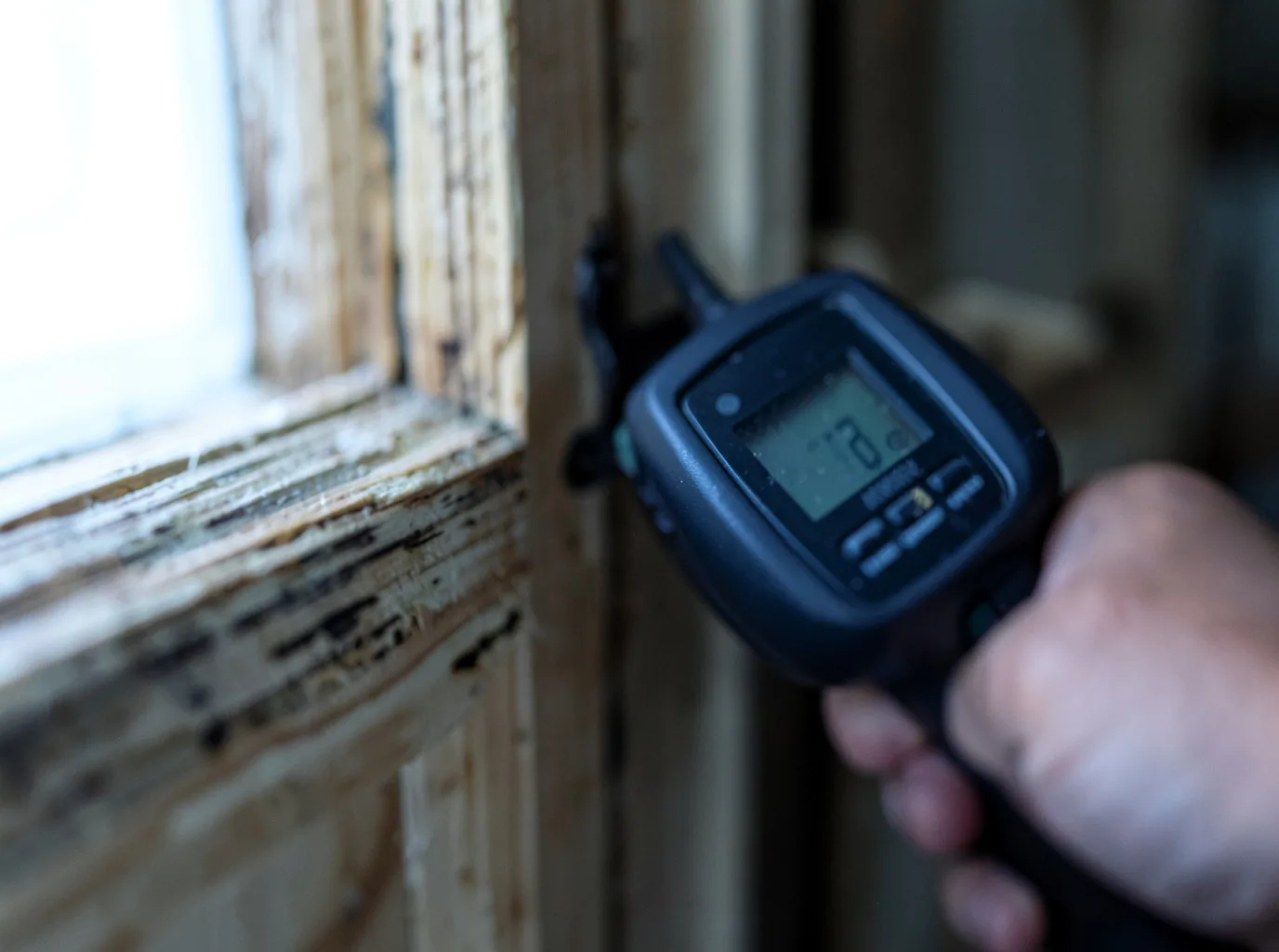Moisture Inspection And Documentation in Lawton, MI